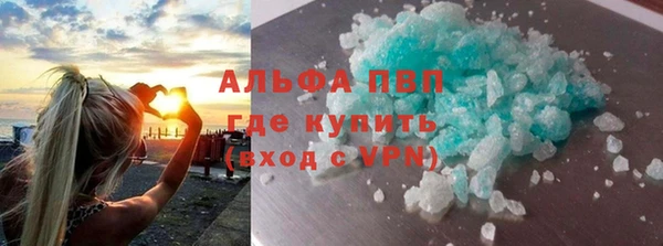 гидра Богданович