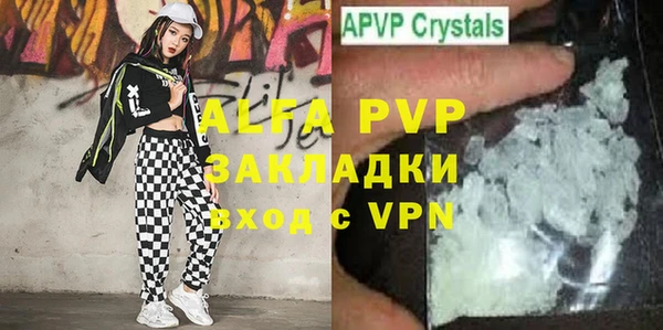 гидра Богданович