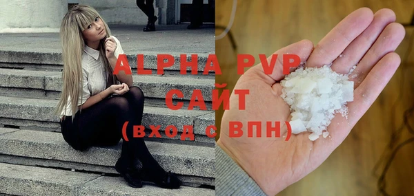 трава Белокуриха