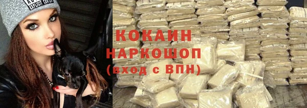 трава Белокуриха