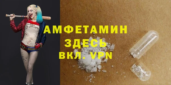 гидра Богданович