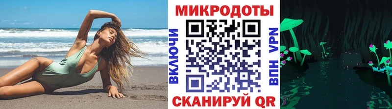 Купить  Нововоронеж  Псилоцибиновые грибы Psilocybe 